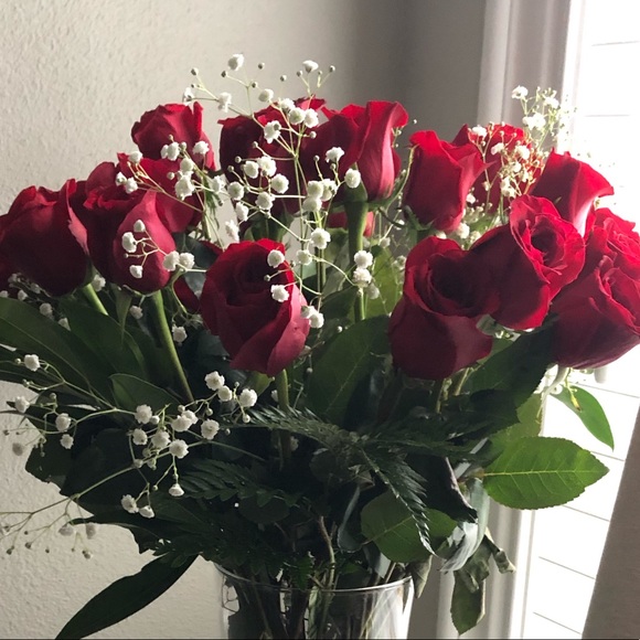 Meet your Posher, Lexi - Picture 1 of 1